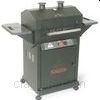 Grill image for model: Epic 07 Model (BH421-AG-4)